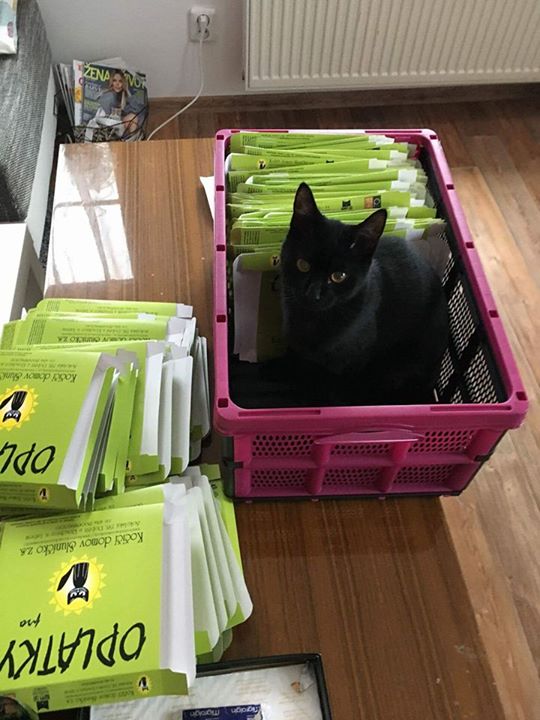 6aef16c94bb5a49b74aa