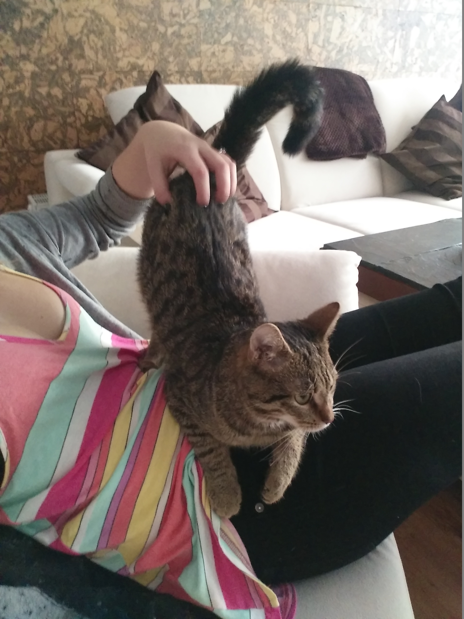 img_20161120_154420_1