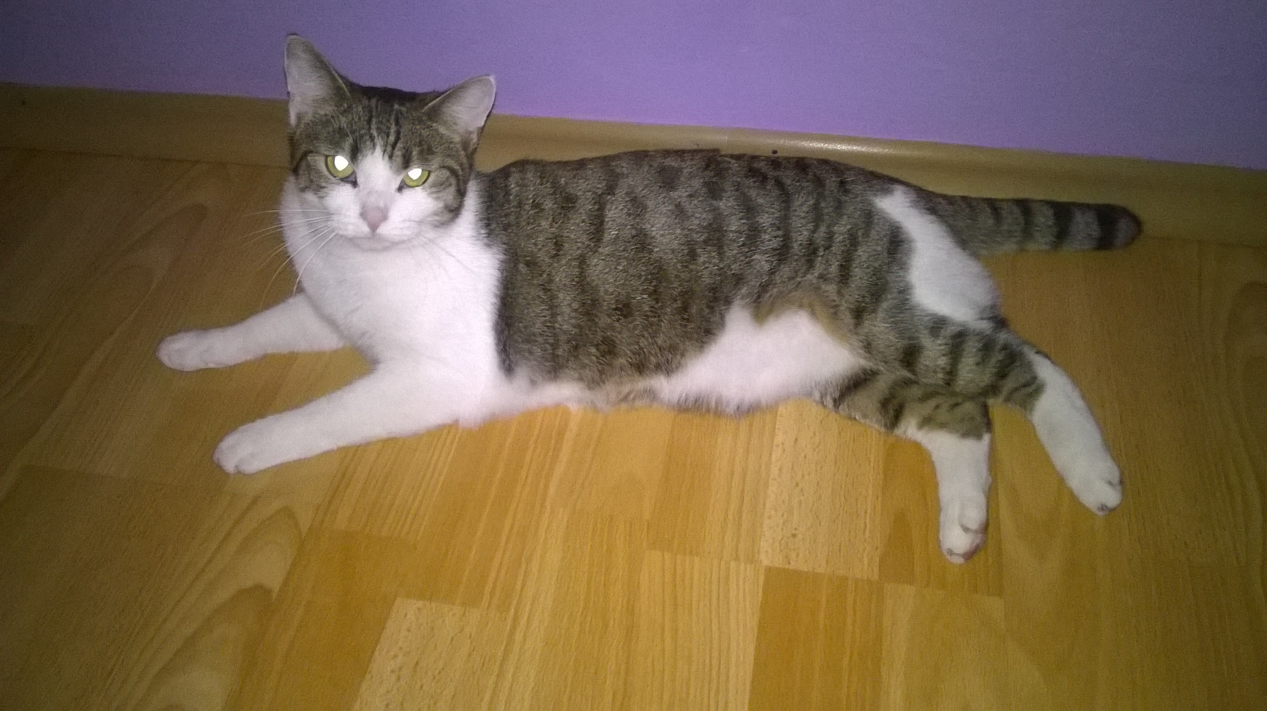 wp_20161112_20_54_49_pro