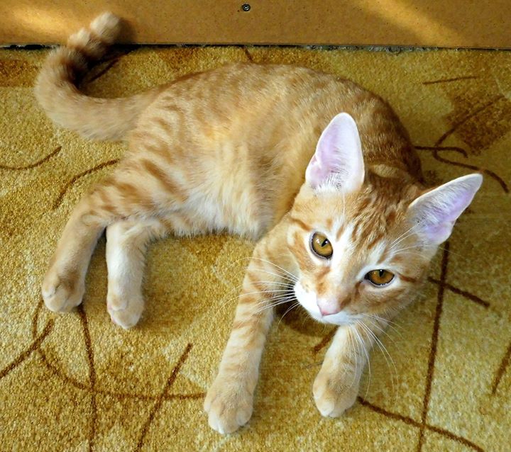 a450fa21d94ac3d76540