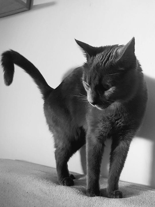 a7080b130cb43226c8b4