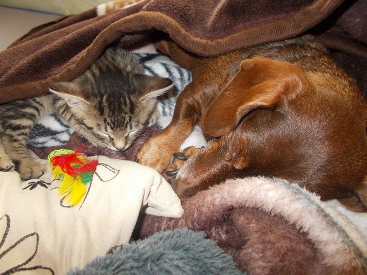 aeadc392ecaa91b1a192