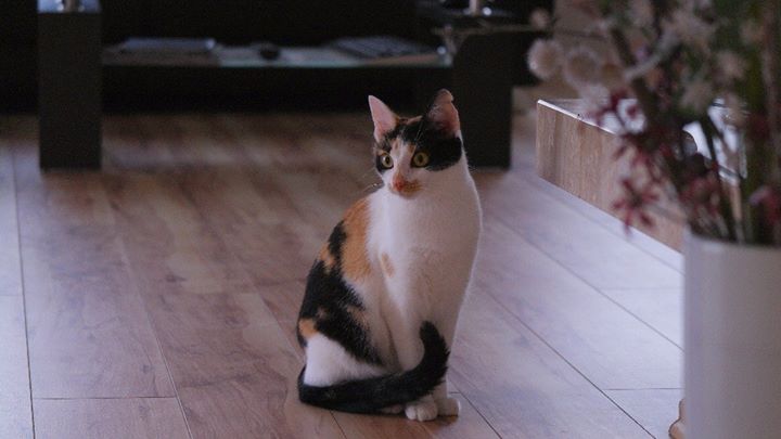 bd92f7204be4090a0775