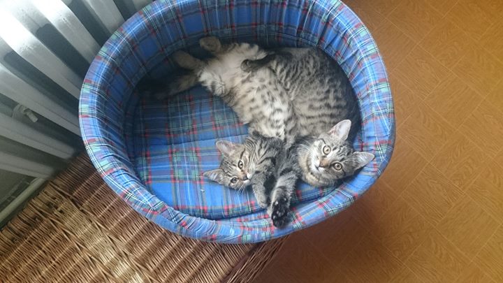 fc1d27e72926e472d5f5