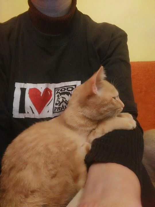 0a977e8daa51808ec005