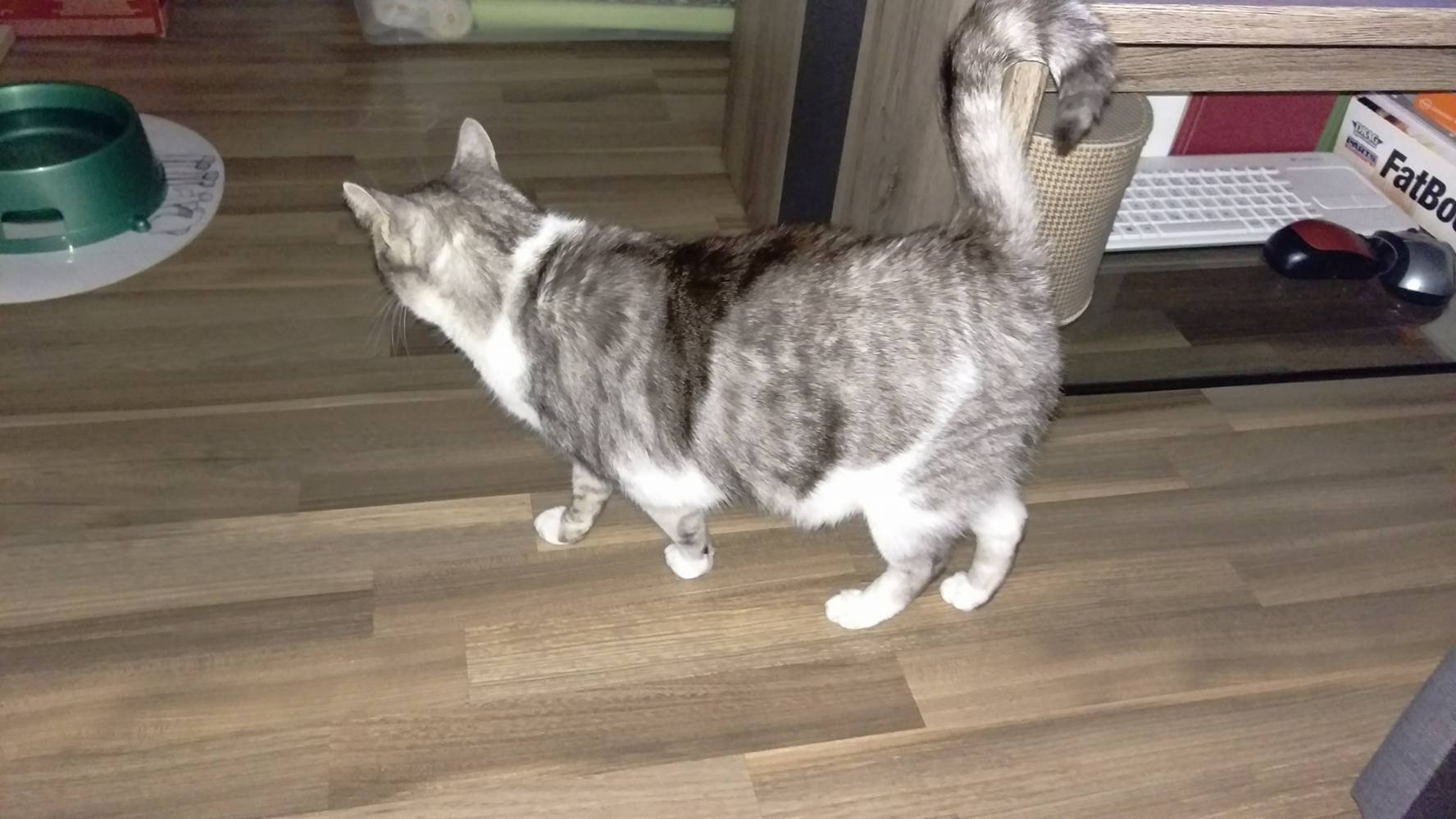 15303769_1646270625389916_115651083_o