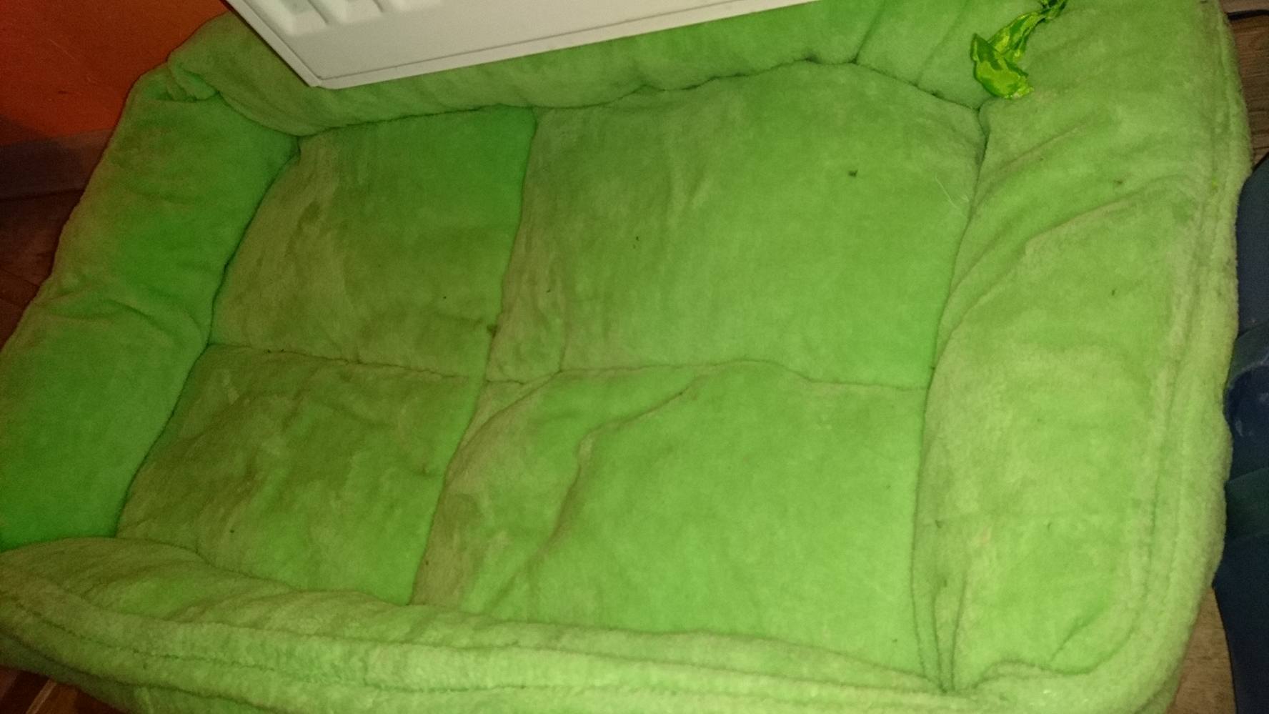 15304333_720643134766959_8173288259369200756_o