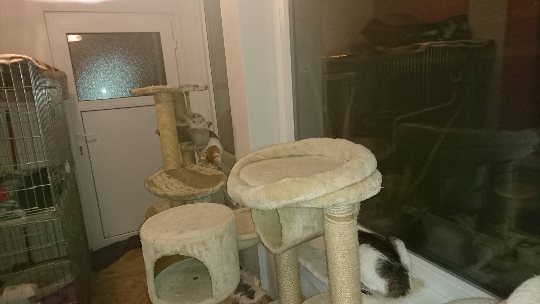 15304569_720643028100303_8111487720176346292_o