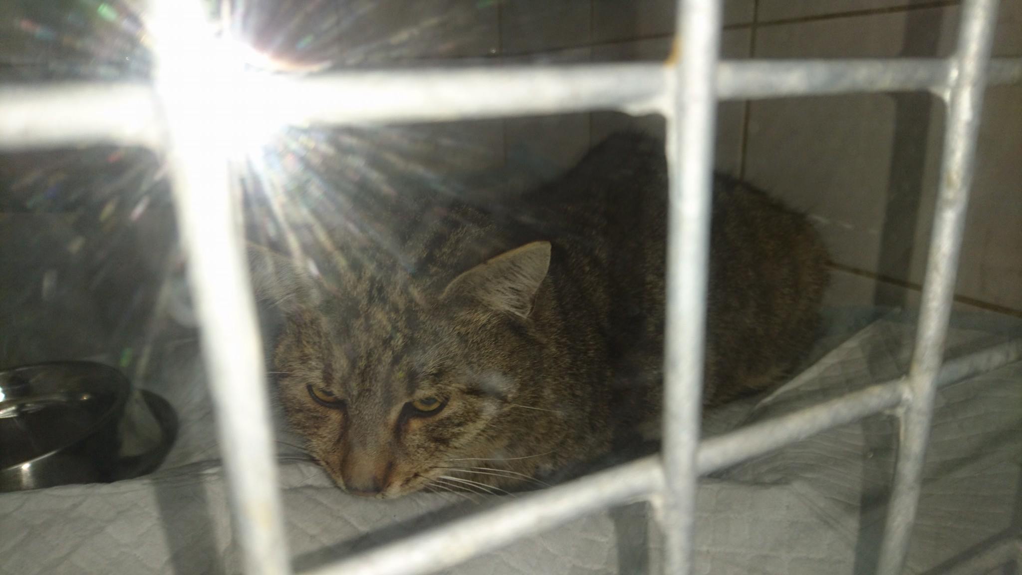 15325161_719916058173000_8216938611679366405_o