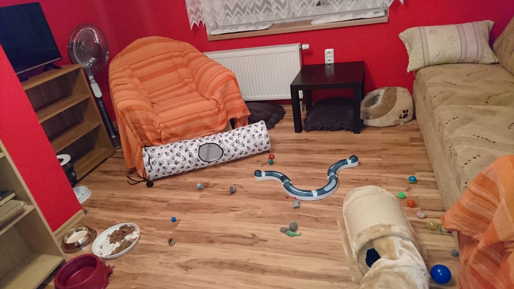 15325296_720643174766955_4986693213771197507_o