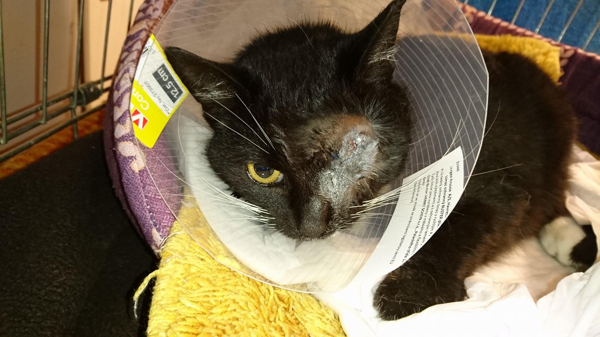 15326239_721445318020074_5380563962297500994_o