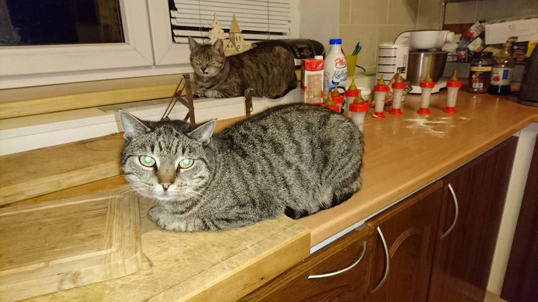 15391384_720643228100283_4534565142328191048_o