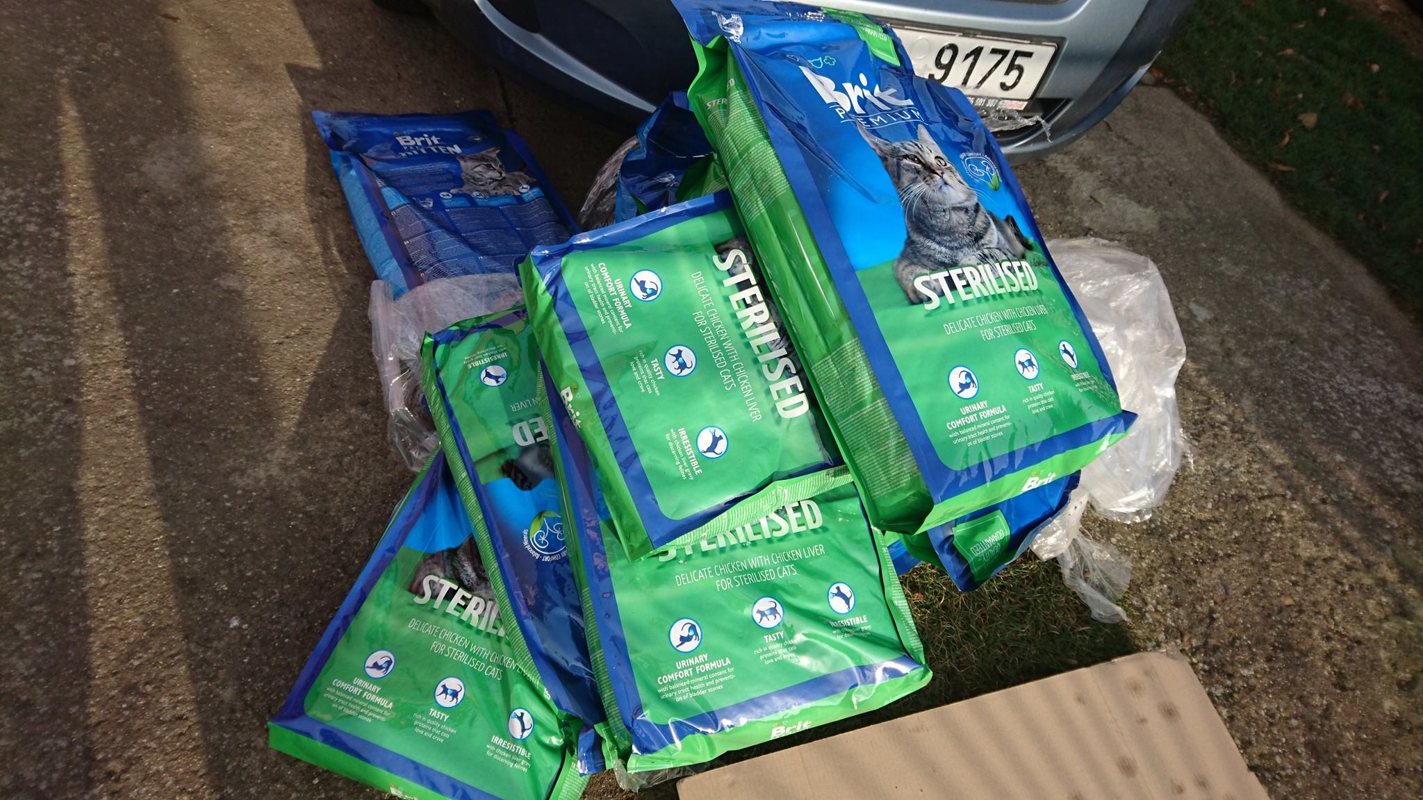 15392908_721445274686745_191874136107043818_o