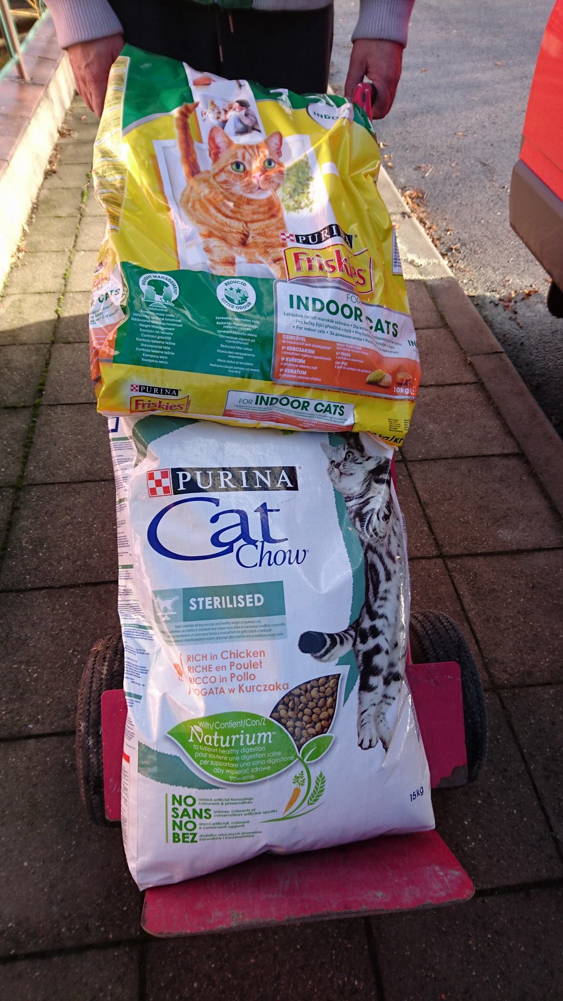 15403588_725242824306990_5293982058096160912_o