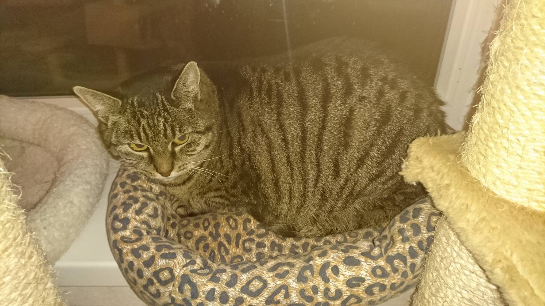 15403674_720643078100298_9005401879030818650_o