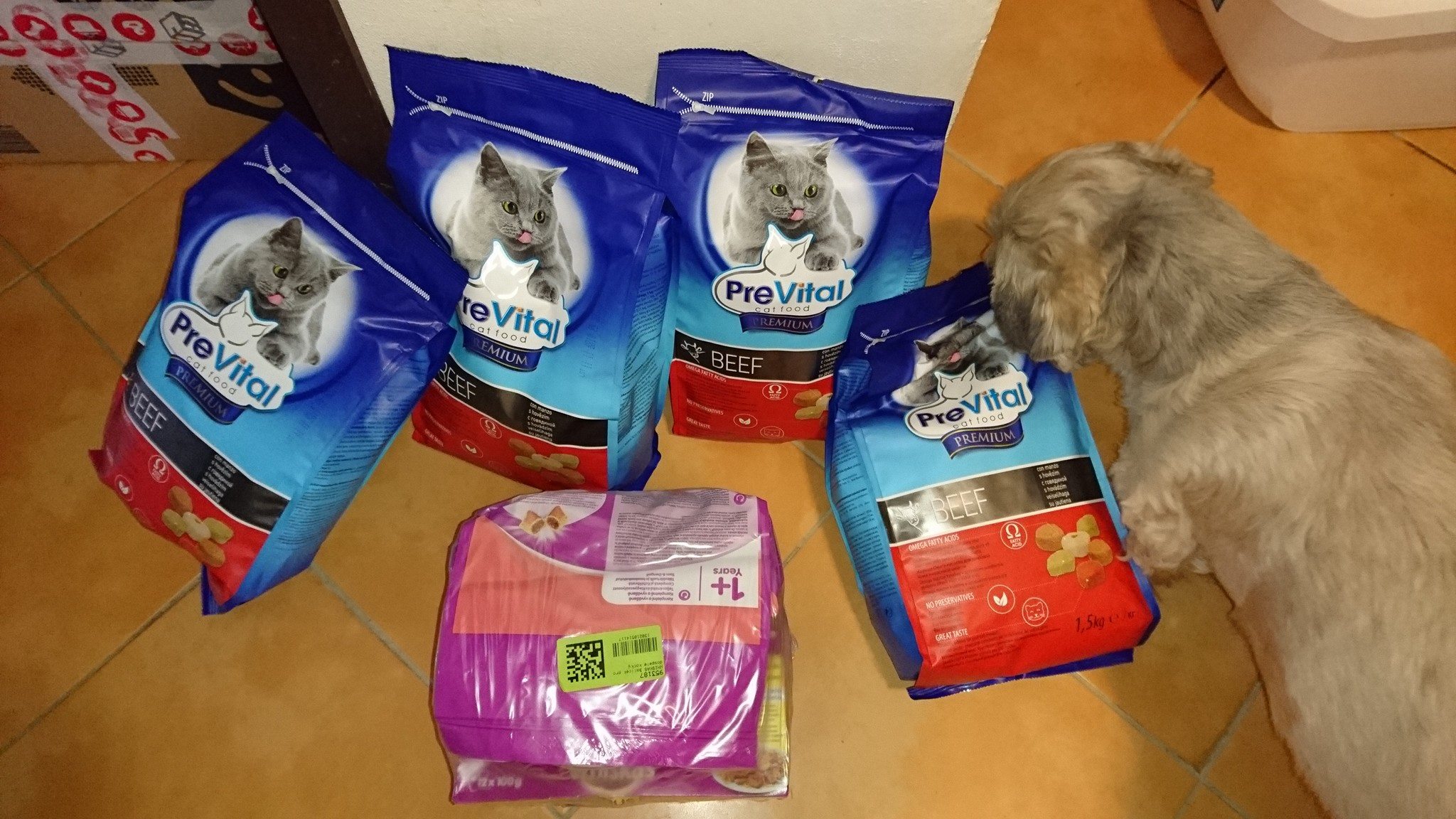 15443007_728876853943587_7426159419988909782_o