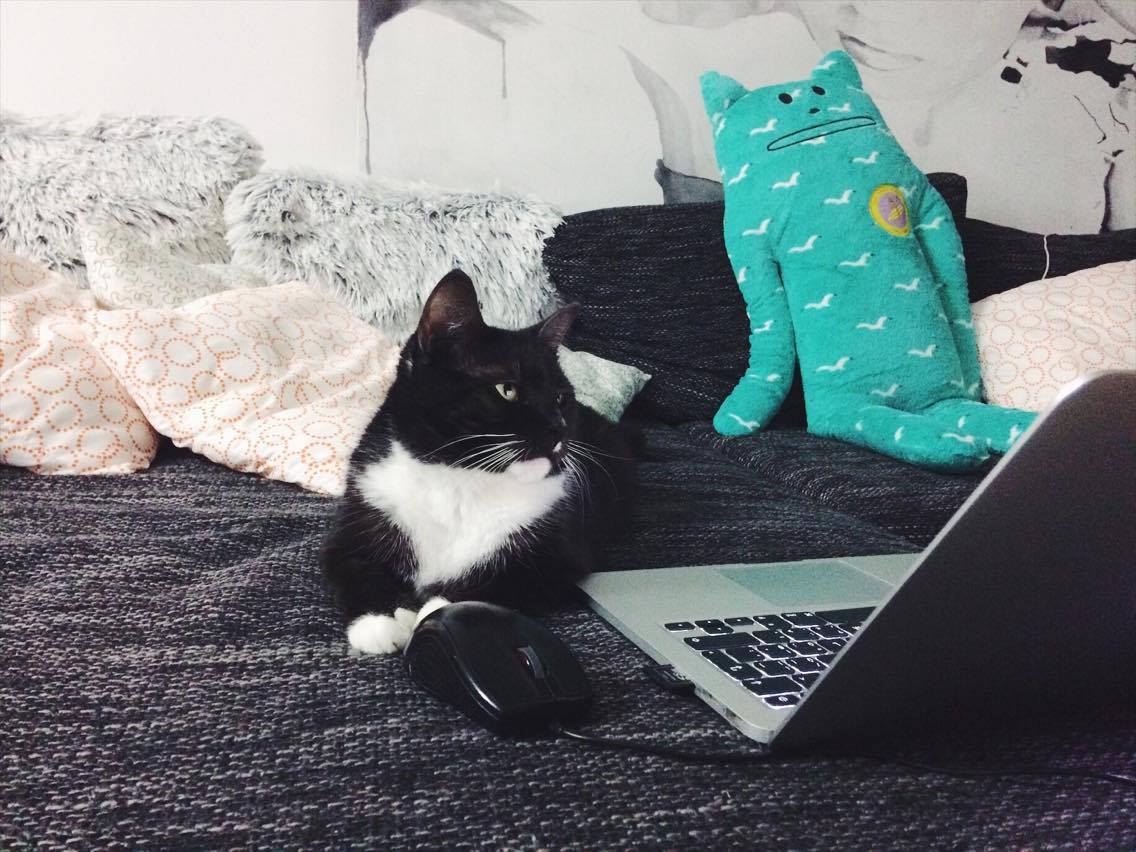 15515543_10202515692409639_854092931_o