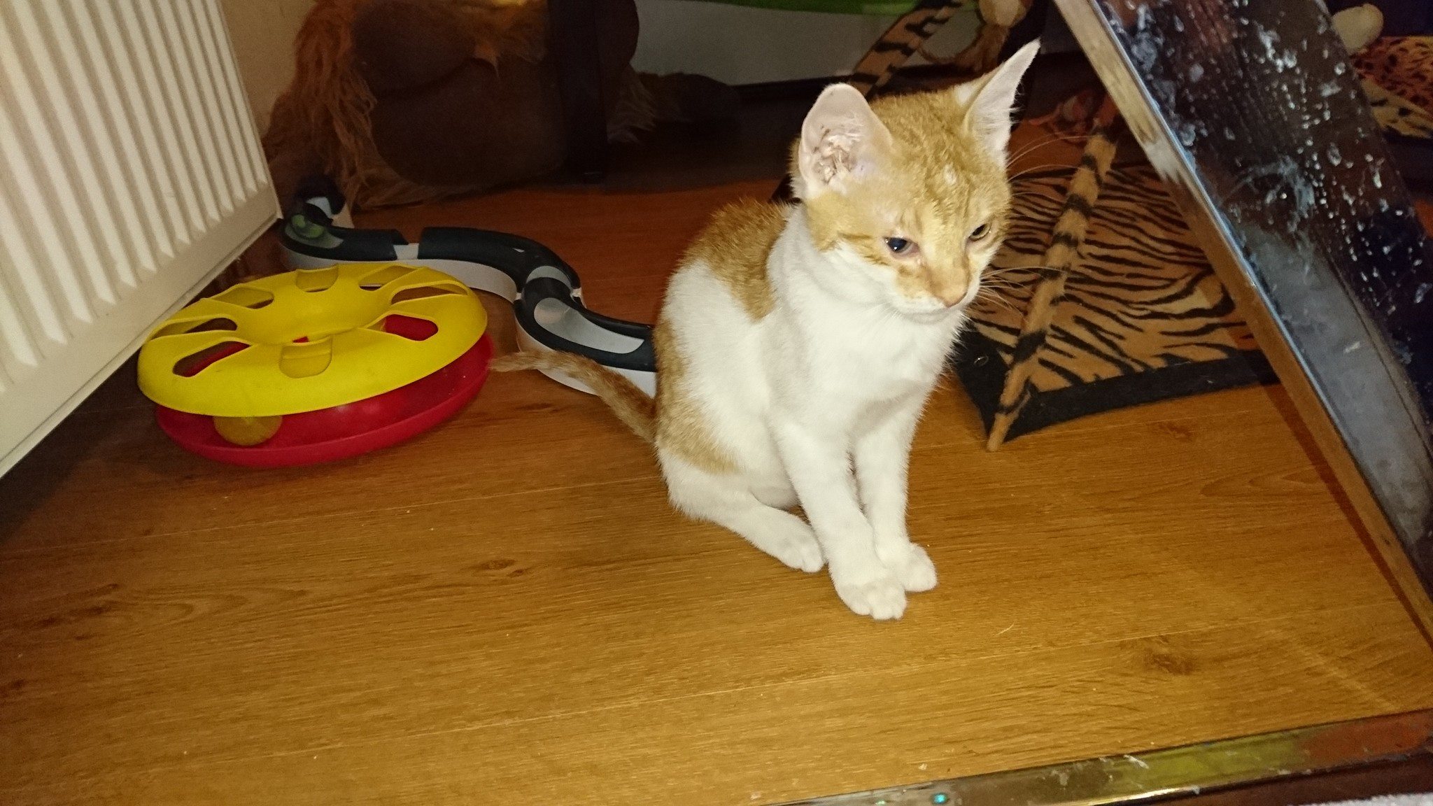 15540701_726356874195585_1544010009583448956_o