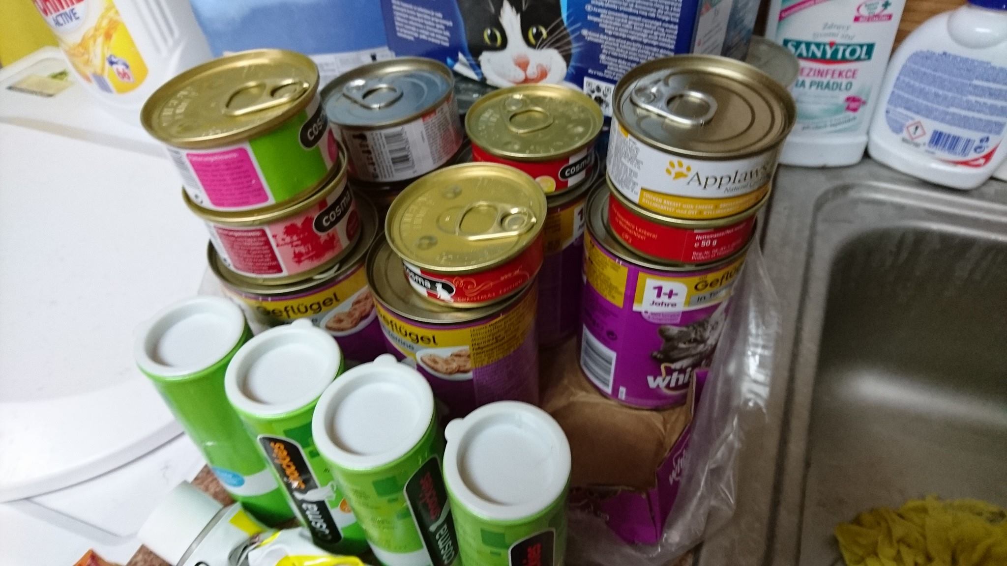 15540794_728876943943578_9162741647916812347_o