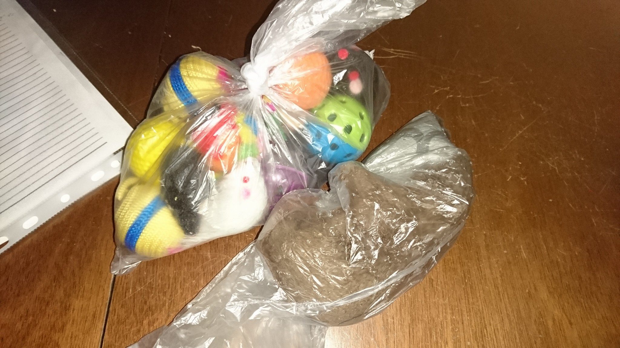 15590714_729393843891888_8259296382175619343_o