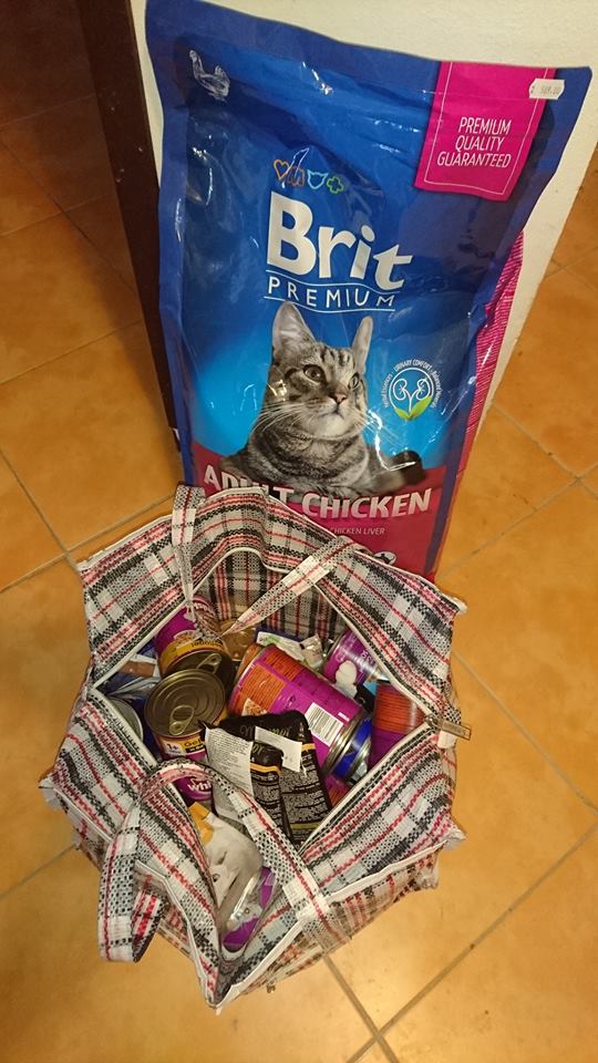 15622205_730247910473148_7631952556670135856_n