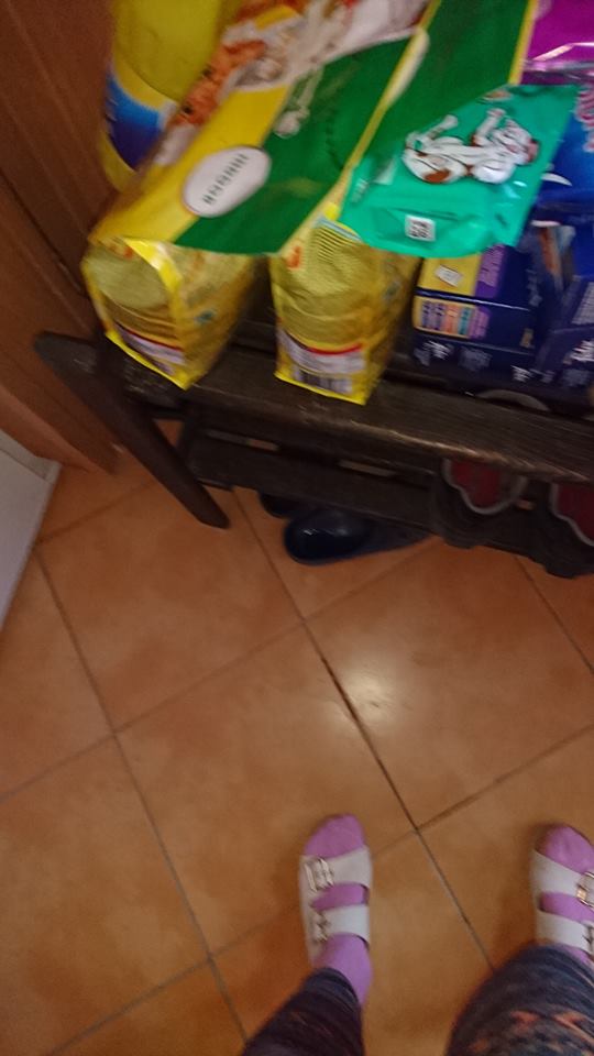 15622427_730248337139772_1232110878709953149_n