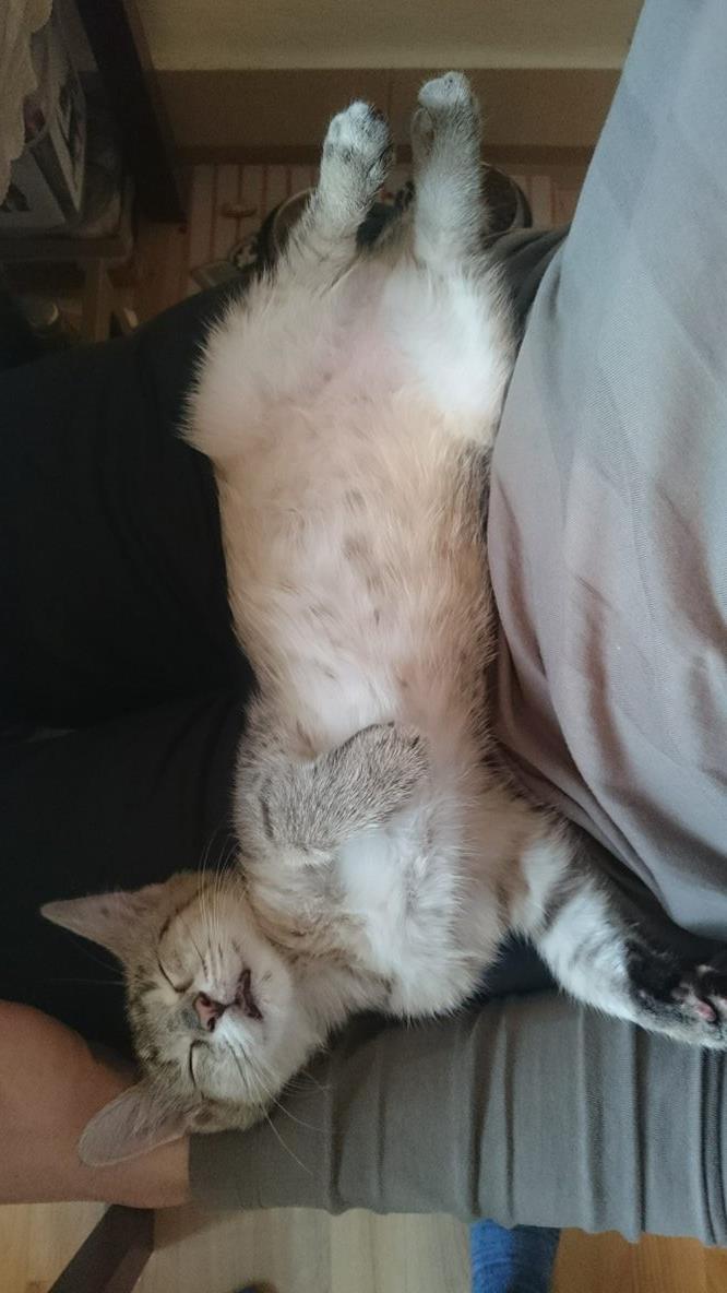 15631525_1334230586598461_570953254_o