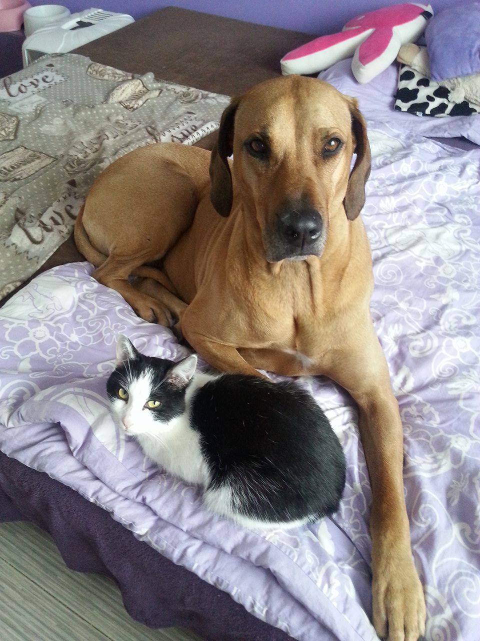 15657855_10206631469740267_1759258374_o