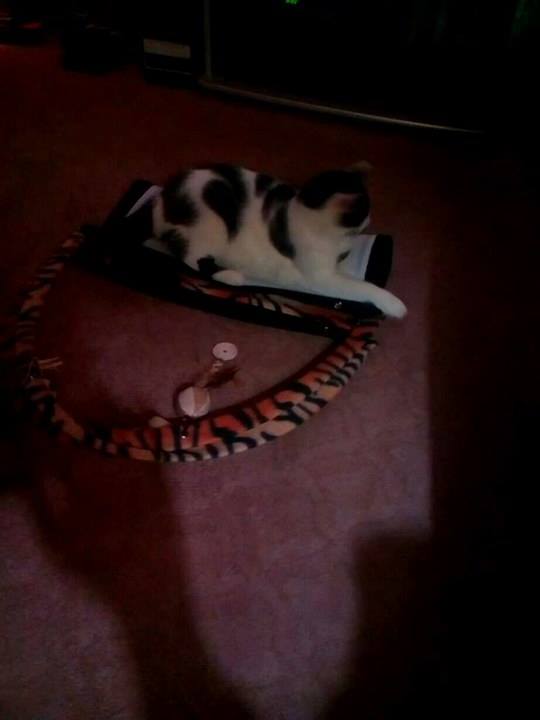 15666271_10208060317498170_974150990_n