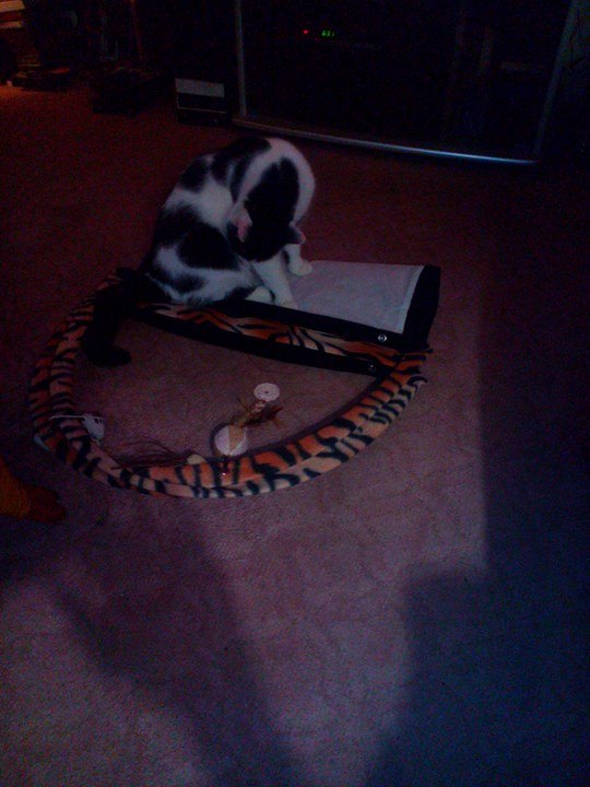 15673165_10208060317778177_714267451_n