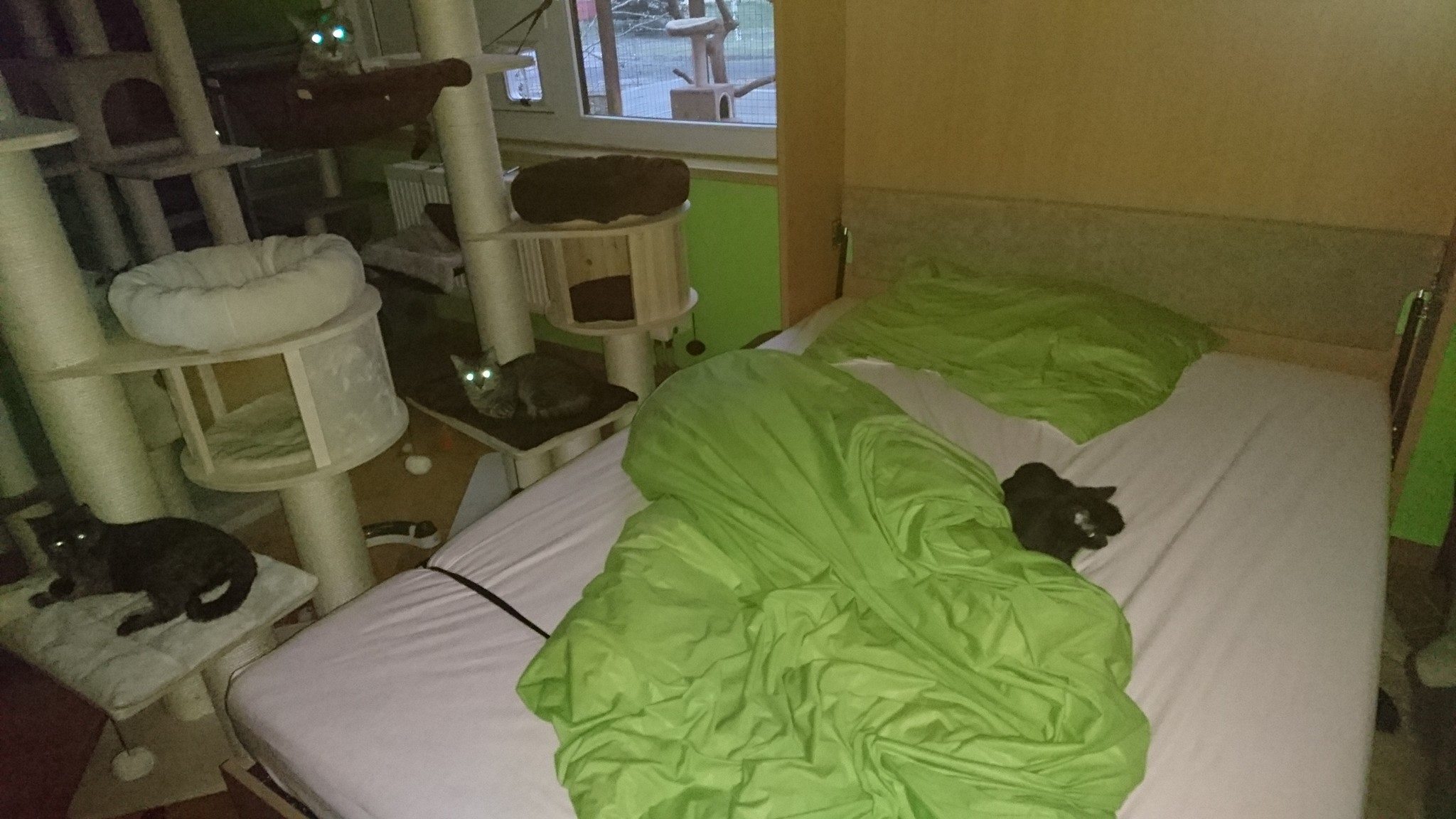 15676250_730399273791345_7477469688247481731_o