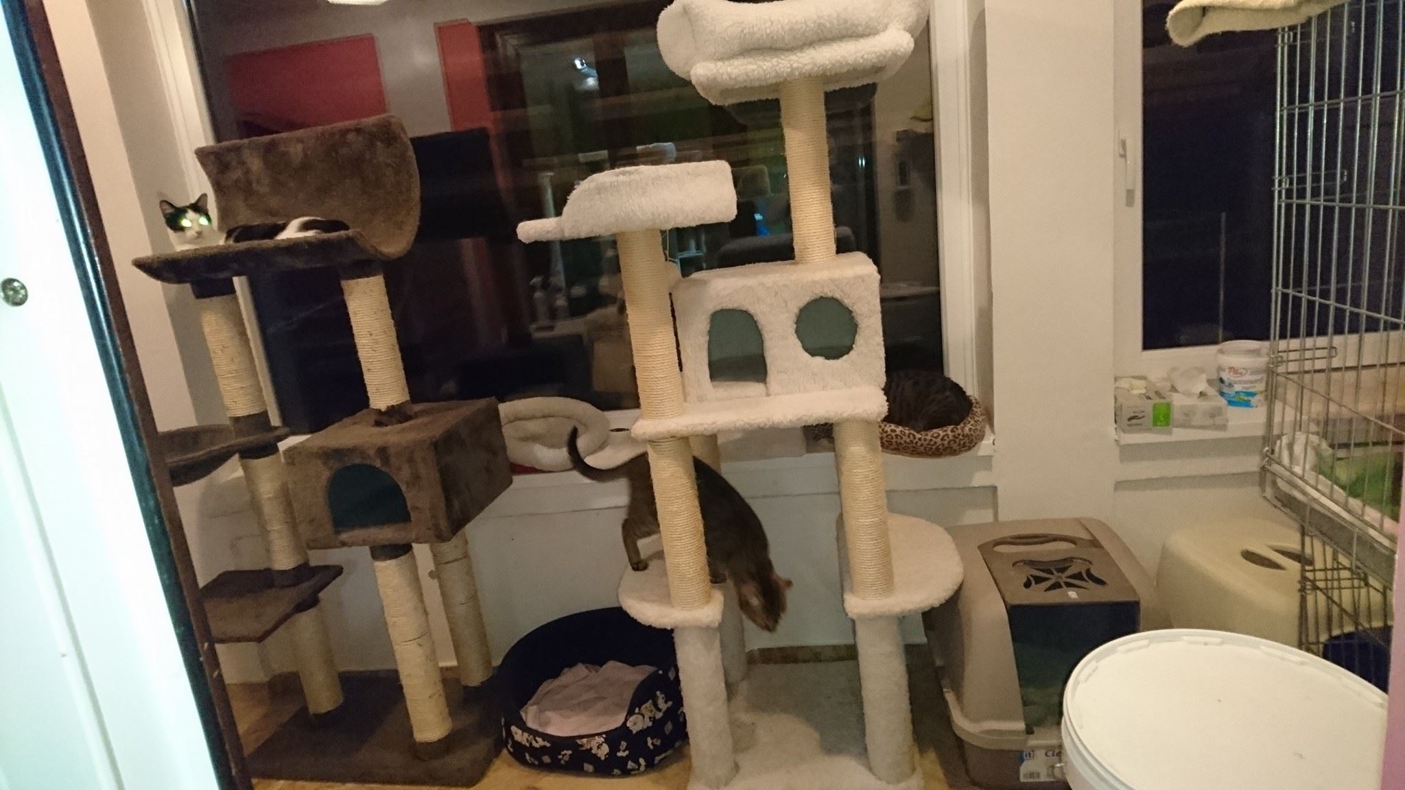 15676263_730399550457984_472548880254112068_o