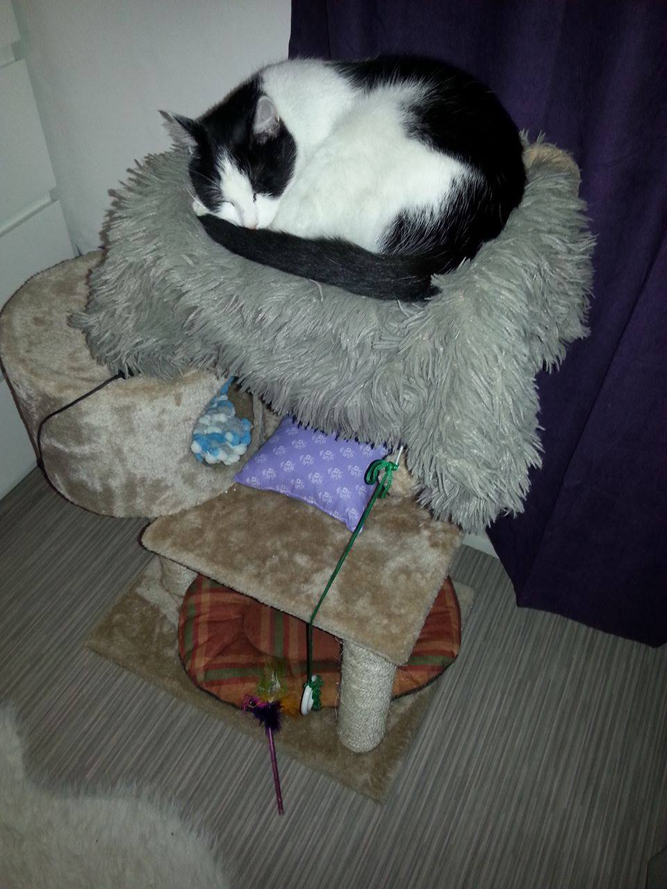 15681998_10206631469580263_1406712337_o