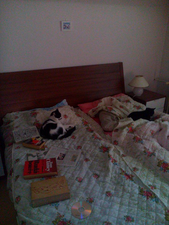 15722648_10208060320258239_517573784_n