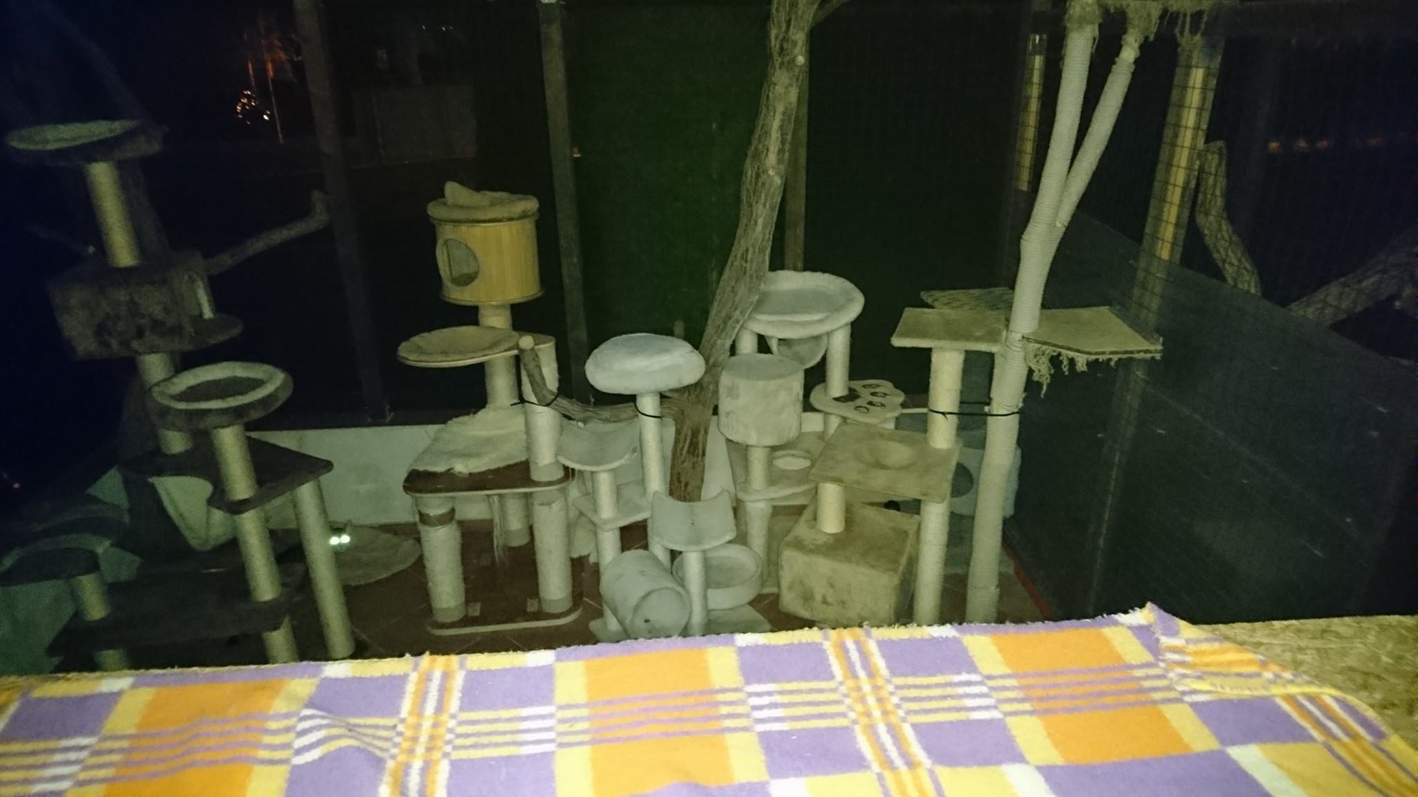 15723506_730399813791291_8747771870945450961_o