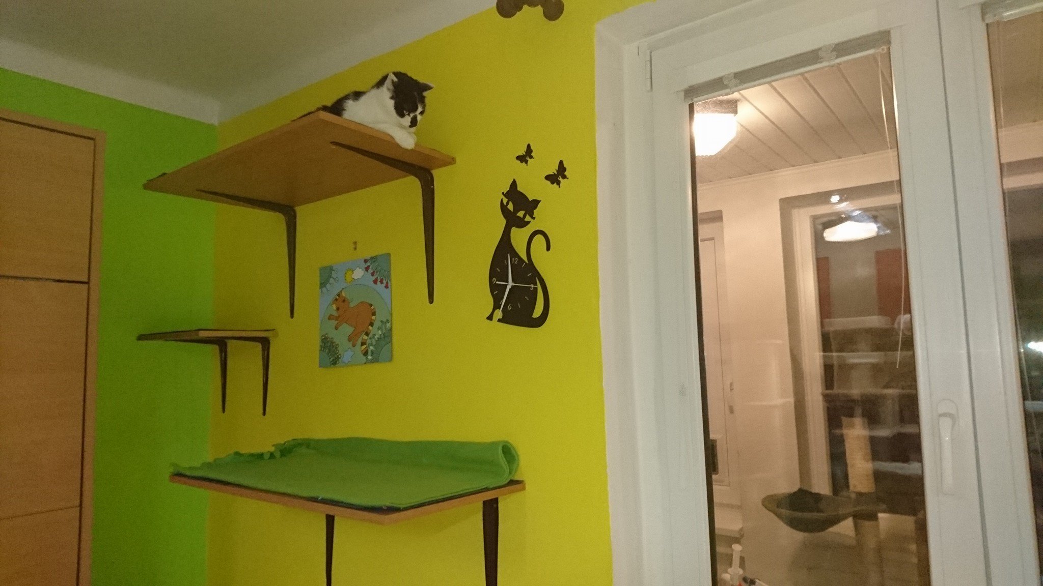 15724787_730400240457915_3519977211549239199_o