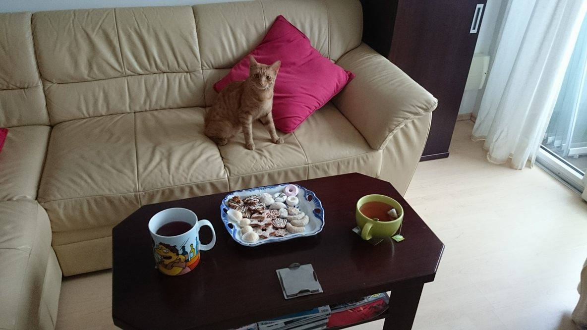 15725252_10207971723760052_1765194782_o