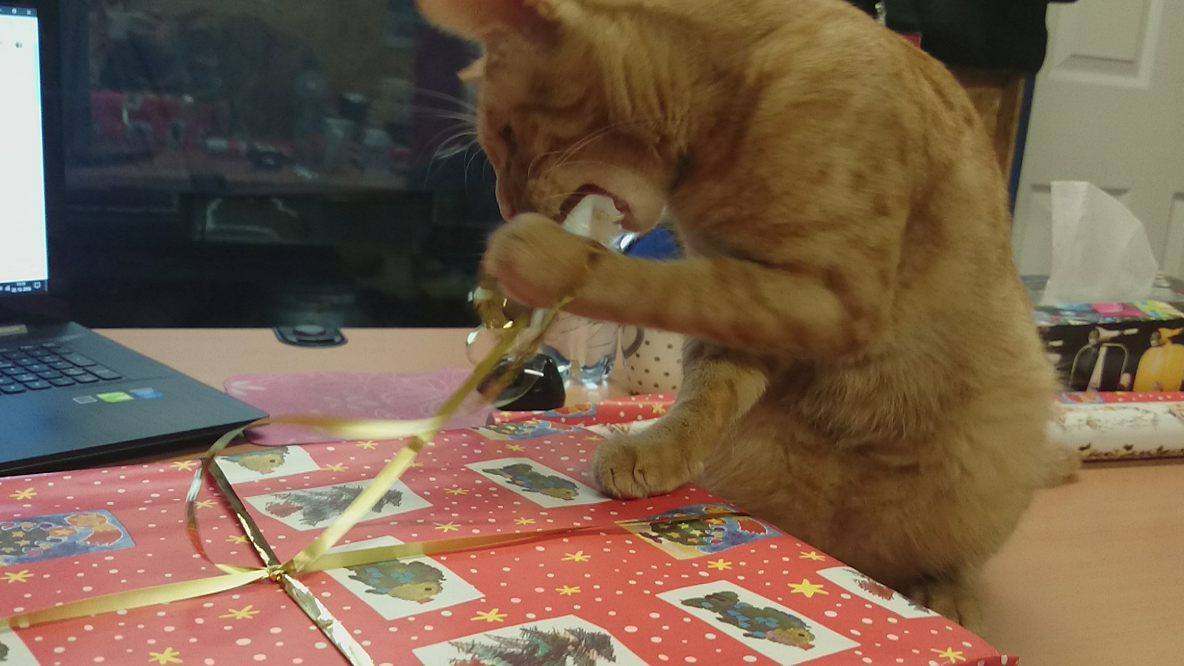 15725603_10207971589836704_1479567626_o