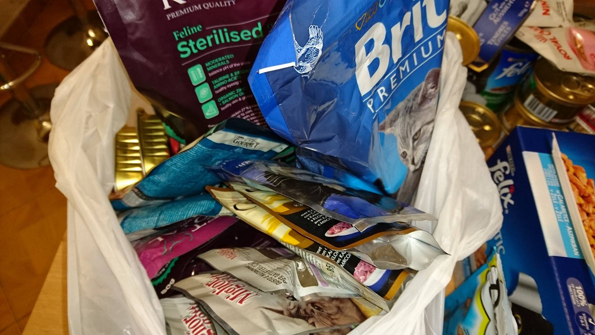 15732287_733167866847819_8848256875441217870_o