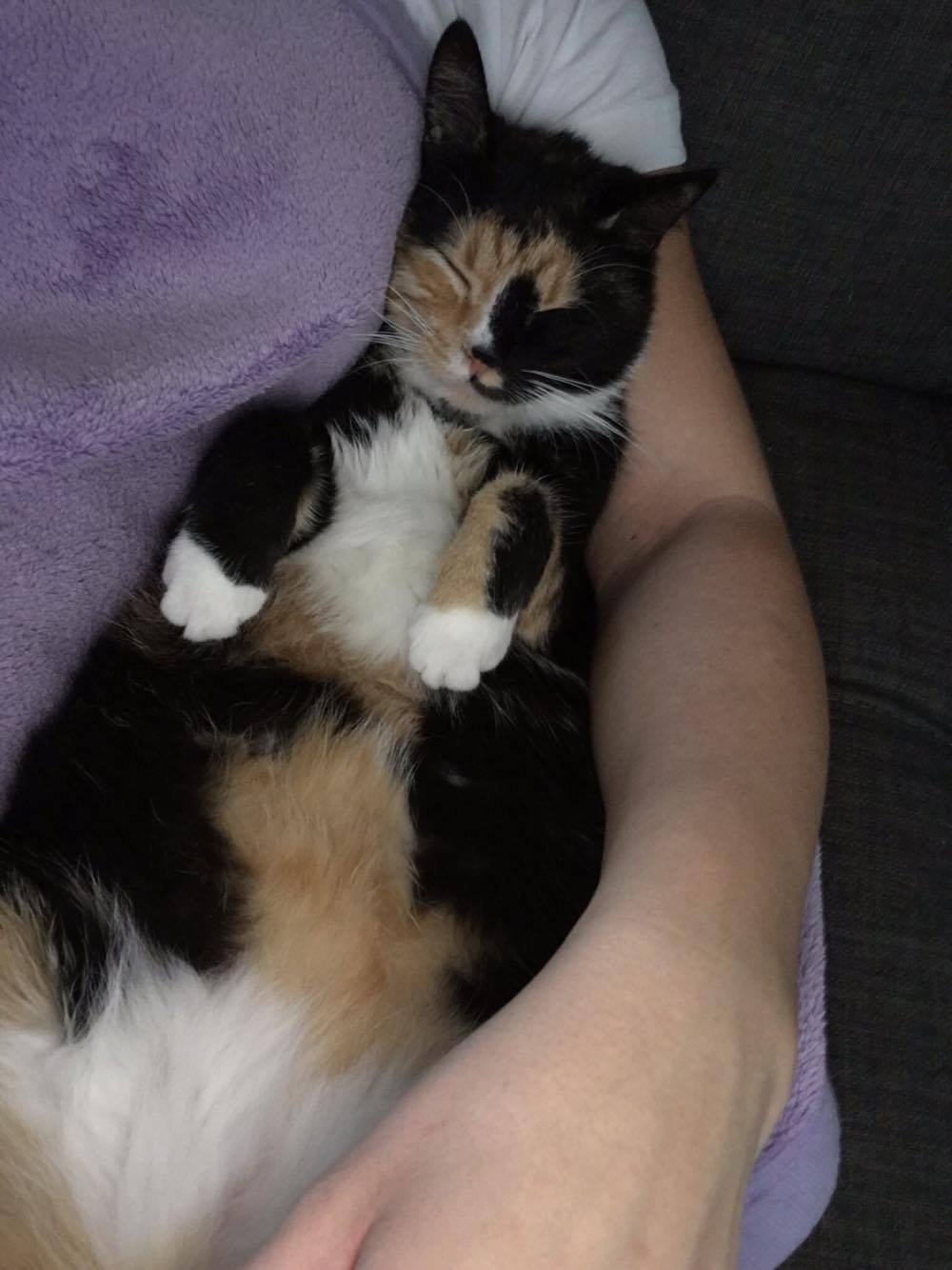 15748288_1446345345377340_1676788395_o