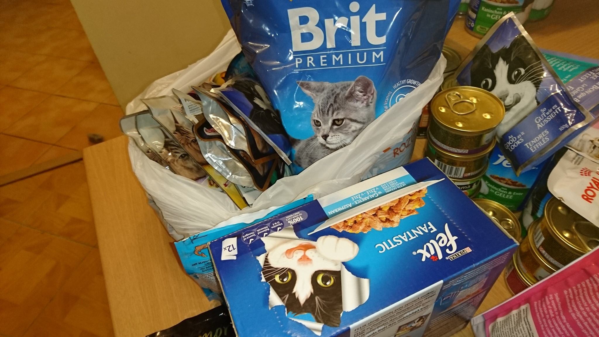 15800492_733167476847858_3535464320052680511_o