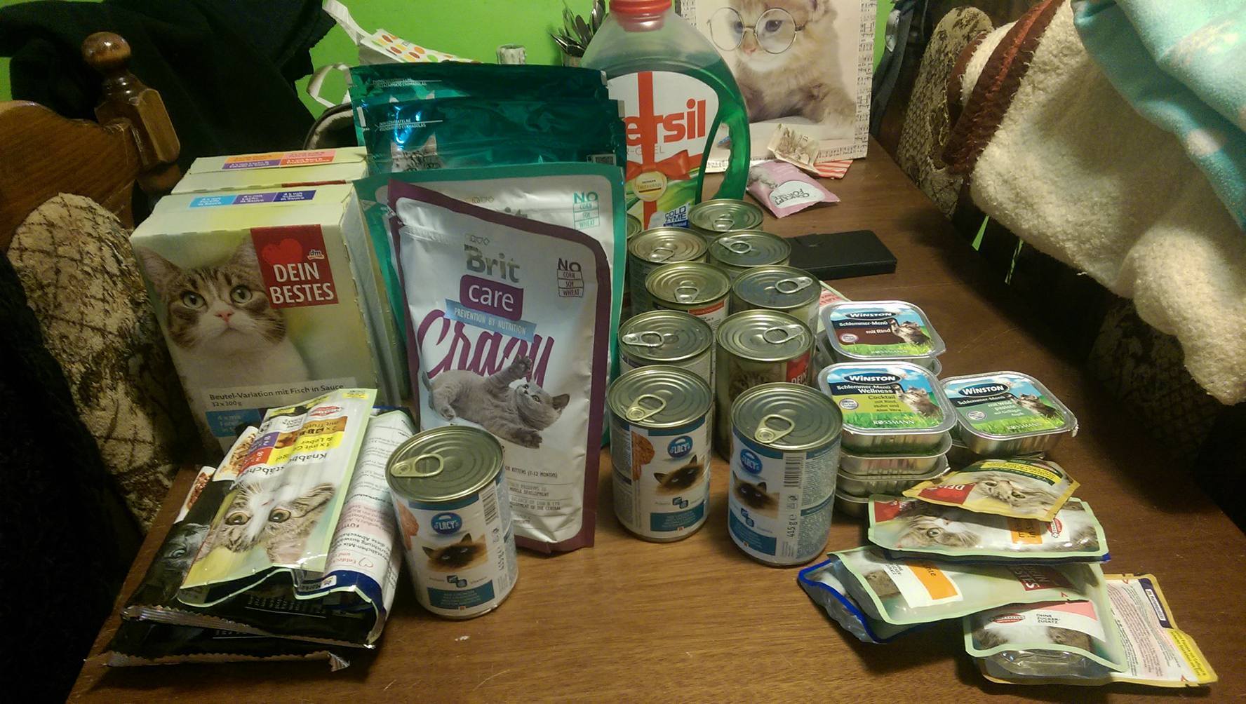 15824407_1756447371349072_1094413826_o