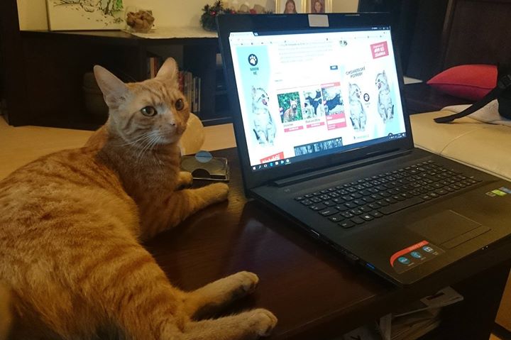 43650f16888bccc8e946