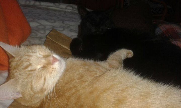 638551f16fa60f3ddb0c