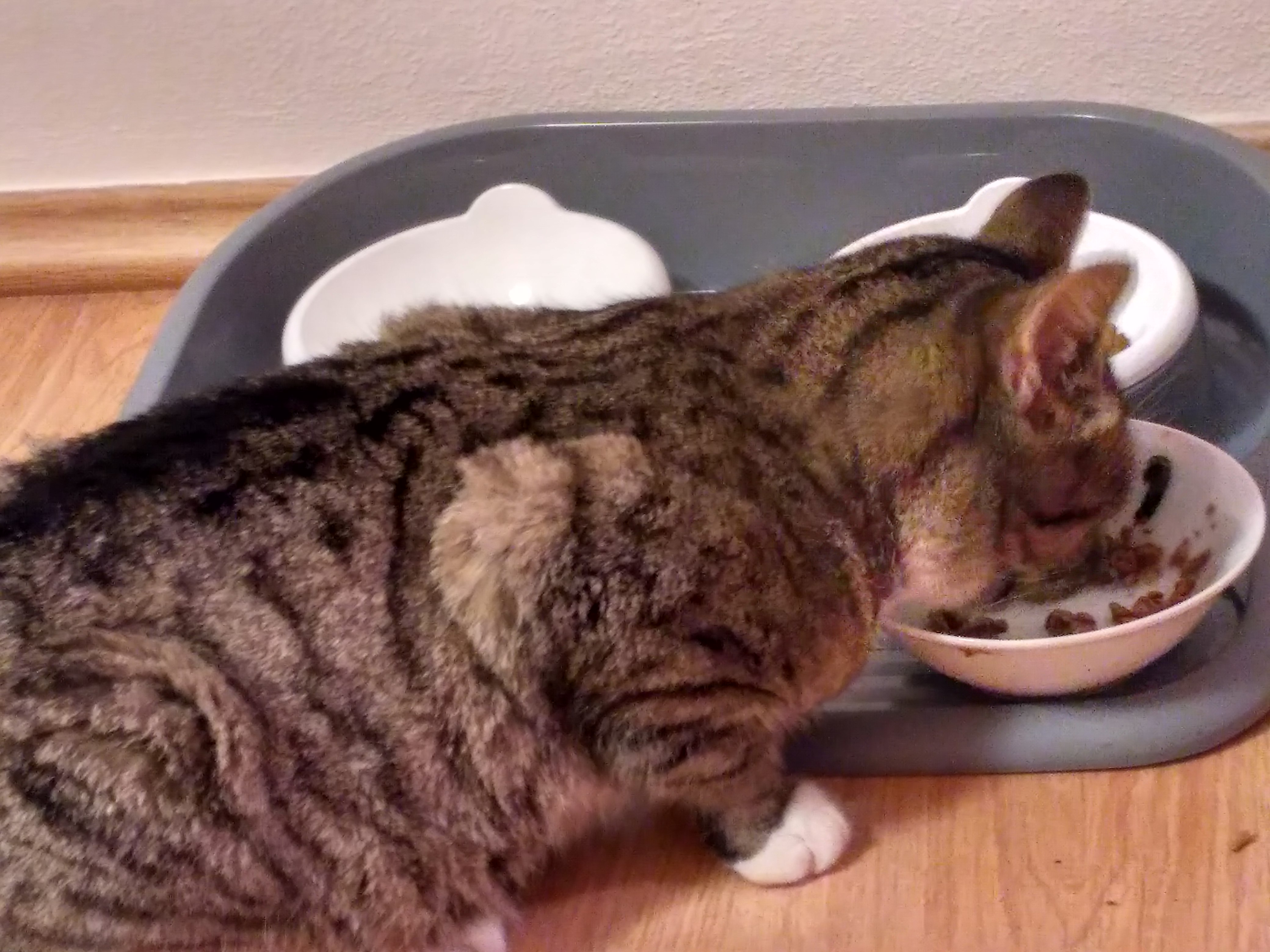 img_20161213_151412_hdr