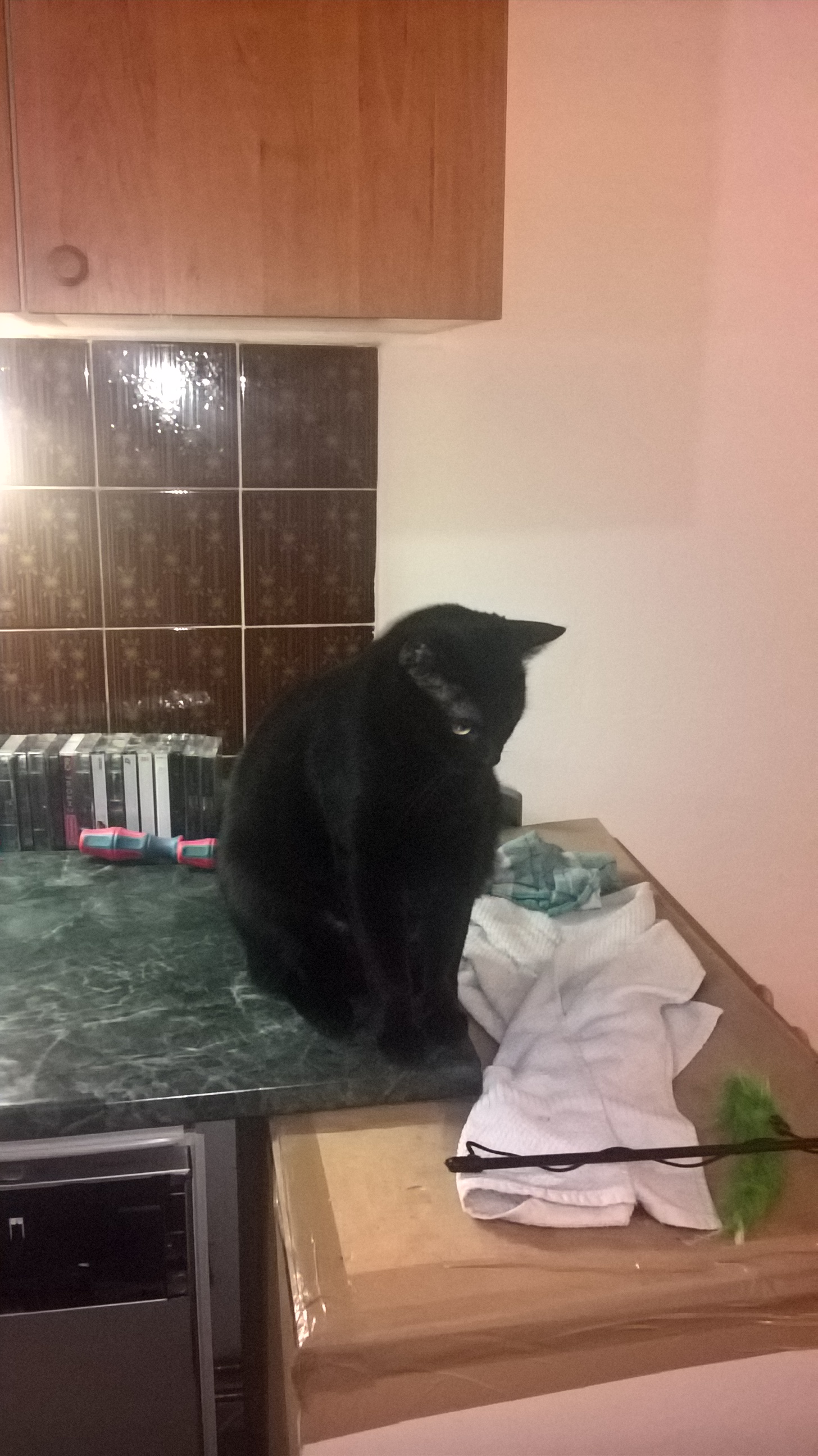 wp_20161205_21_35_35_rich