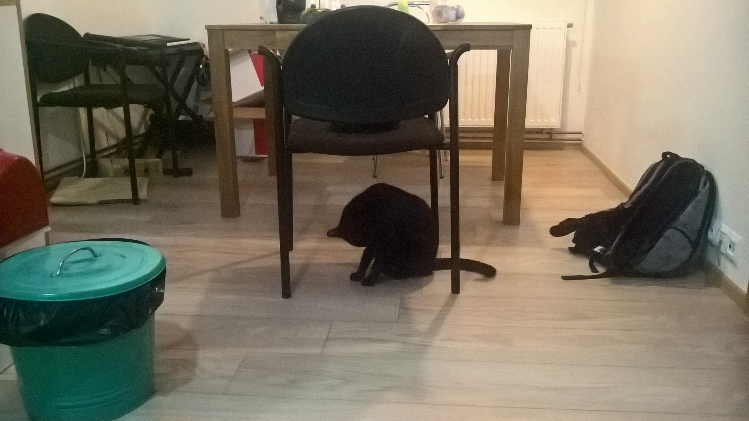 wp_20161205_21_38_52_rich