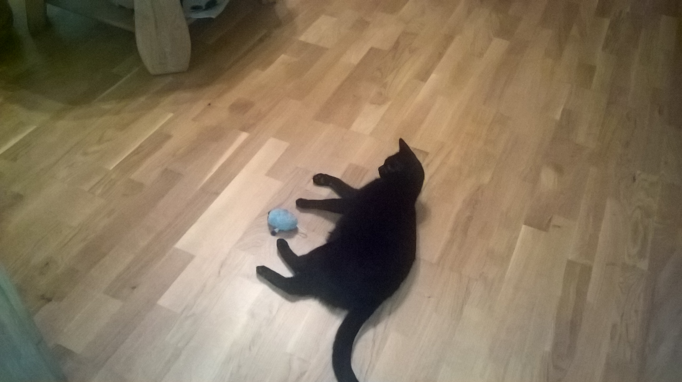 wp_20161205_21_41_39_rich