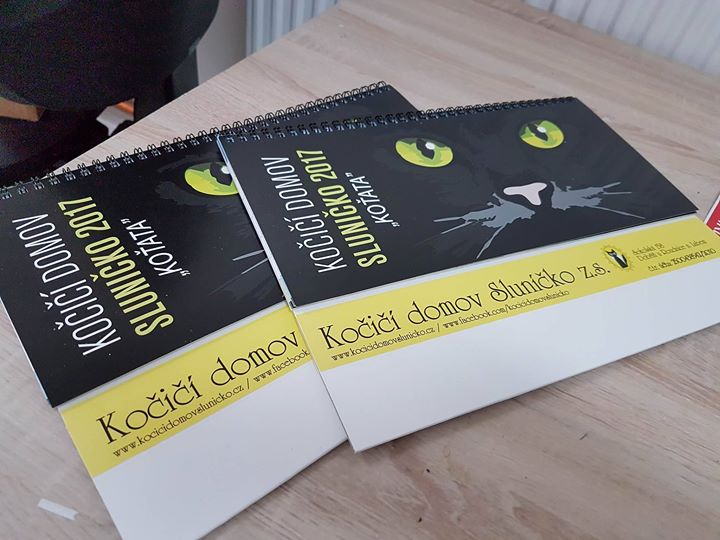 d5a55cc9382f49beb77b