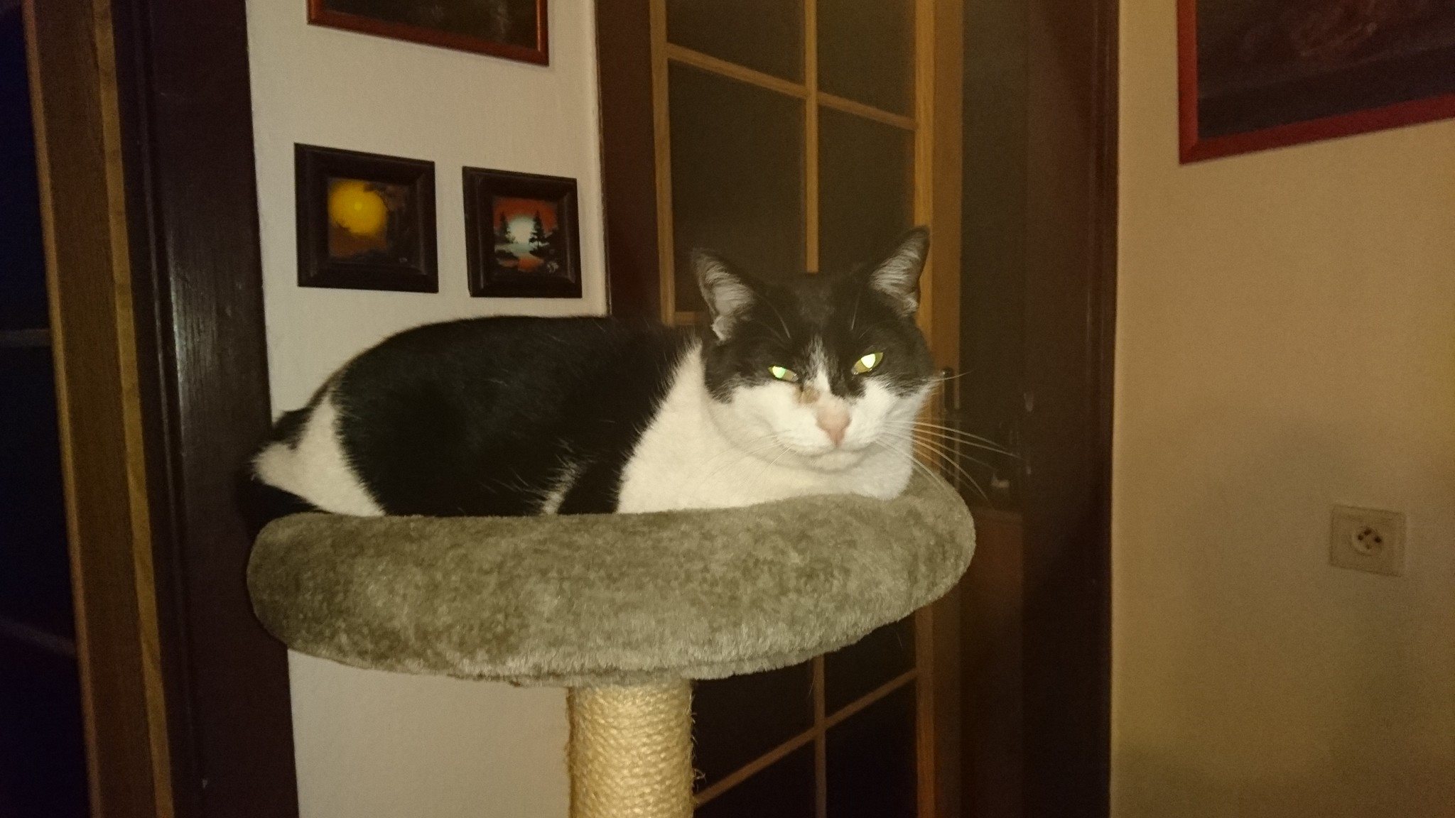 15775036_734228736741732_7320062628135252372_o